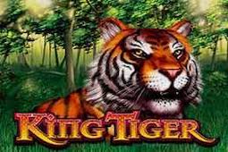King tiger