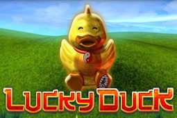 Lucky Duck