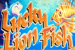 Lucky Lion Fish