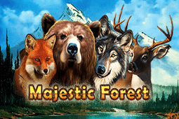 Majestic Forest