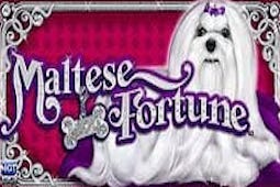 Maltese Fortune