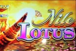Nile Lotus