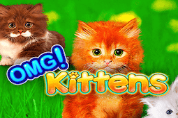 OMG! Kittens
