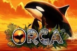 Orca