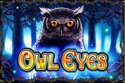 Owl eyes