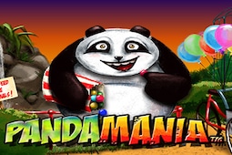 Panda mania