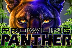 Prowling Panther