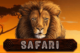 Safari