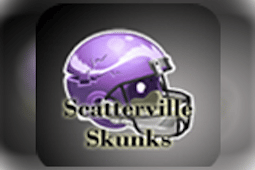 Scatterville Skunks