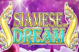Siamese Dream