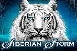 Siberian Storm