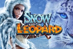 Snow Leopard