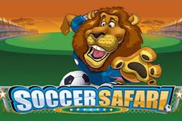 Soccer Safari