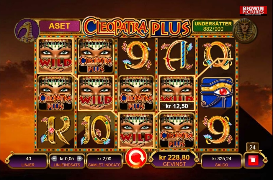 stall-Cleopatra Plus 114x