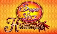 Sugar ‘n spice hummin’