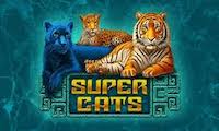 Super cats