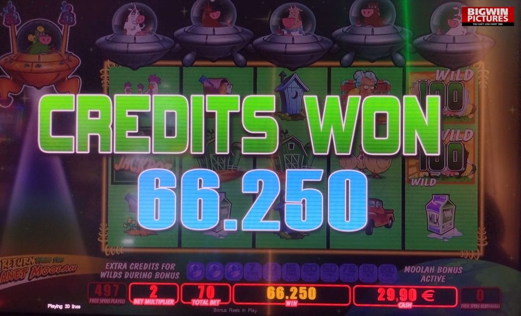 tali-moolah-1