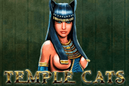 Temple Cats