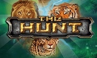 The hunt
