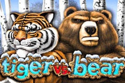 Tiger vs. Bear