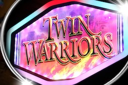 Twin Warriors