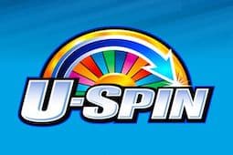 U-Spin