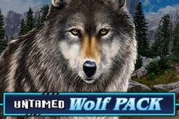 Untamed Wolf Pack