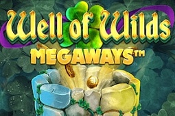 Well Of Wilds Megaways