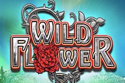 Wild Flower