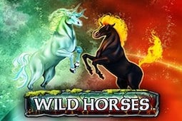 Wild Horses