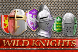 Wild Knights