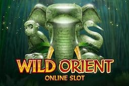 Wild Orient