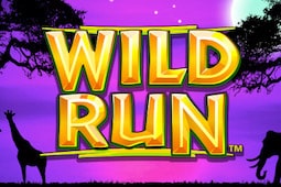 Wild run