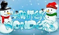Winter Wonders