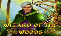 Wizard of the Woods